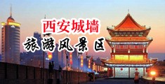 4小日本操逼逼中国陕西-西安城墙旅游风景区
